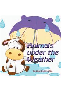 Animals Under the Weather