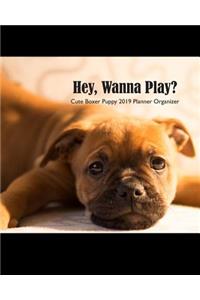 Hey, Wanna Play? Cute Boxer Puppy 2019 Planner Organizer