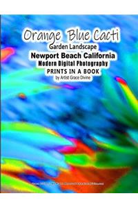 Orange Blue Cacti Garden Landscape Newport Beach California Modern Digital Photography PRINTS IN A BOOK by Artist Grace Divine