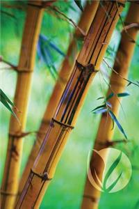 Bamboo Forest Notebook