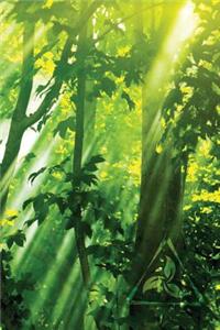 Sun-Streak Leaves Any Day Planner Notebook