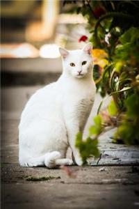 Elegant White Cat Pet Journal