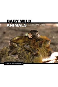 Baby Wild Animals Calendar 2018