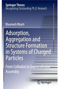 Adsorption, Aggregation and Structure Formation in Systems of Charged Particles