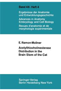 Acetylthiocholinesterase Distribution in the Brain Stem of the Cat