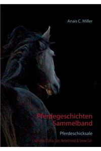 Pferdegeschichten Sammelband