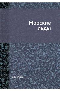 Морские льды