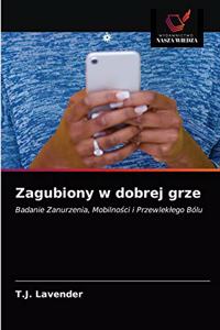 Zagubiony w dobrej grze