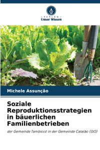 Soziale Reproduktionsstrategien in bäuerlichen Familienbetrieben