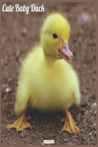 Cute Baby Duck 2021 Calendar