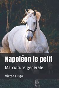 Napoléon le petit