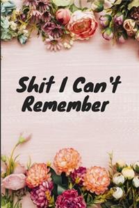 Shit I Can't Remember