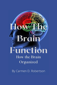 How the Brain Function