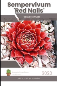 Sempervivum 'Red Nails'