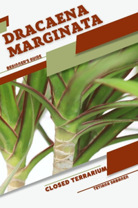 Dracaena marginata