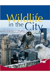 Wildlife in the City PM Plus Non Fiction Level 27&28 Ruby: Our Changing Environment PM Plus Chapter Books Emerald NF