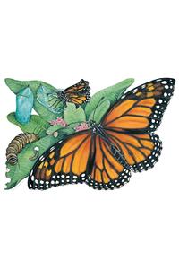 Metamorphosis of a Butterfly Floor Puzzle