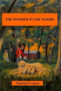 Wonder in the Woods