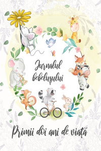 Jurnalul Bebelusului, Primii 2 ani de viata