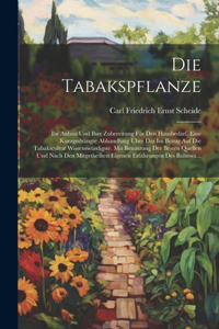 Tabakspflanze