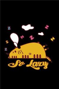 So lazy