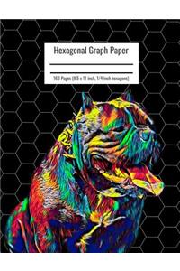 Hexagonal Graph Paper