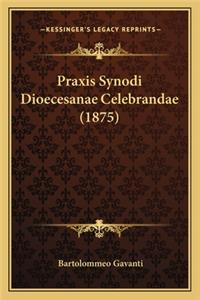 Praxis Synodi Dioecesanae Celebrandae (1875)