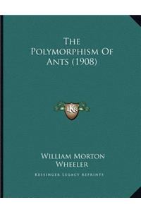 The Polymorphism Of Ants (1908)