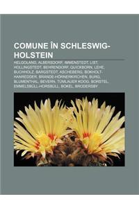 Comune in Schleswig-Holstein