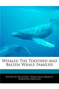 Whales