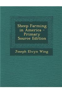 Sheep Farming in America