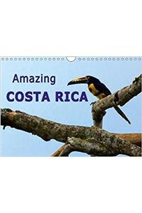 Amazing Costa Rica 2018