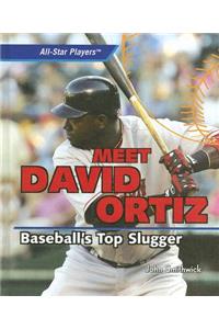 Meet David Ortiz: Baseball's Top Slugger