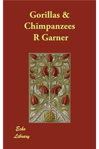 Gorillas & Chimpanzees