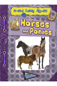 Horses and Ponies