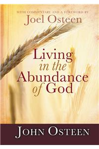 Living in the Abundance of God