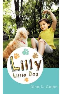 Lilly Little Dog