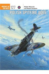 Polish Spitfire Aces