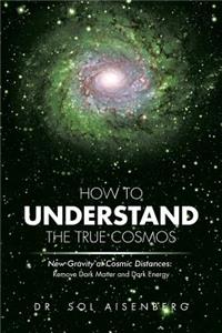 How to Understand the True Cosmos