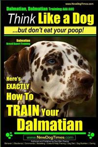 Dalmatian, Dalmatian Training AAA AKC
