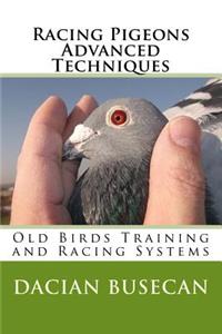 Racing Pigeons Advanced Techniques