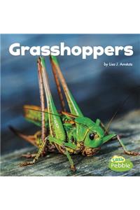 Grasshoppers