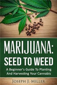 Marijuana