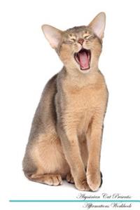 Abyssinian Cat Affirmations Workbook Abyssinian Cat Presents