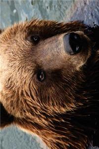 Kamchatka Brown Bear Journal
