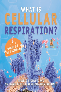 What is Cellular Respiration? Process, Products and Reactants of Cellular Respiration Explained Grade 6-8 Life Science