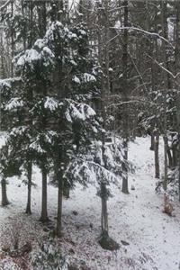 Winter Journal Pretty Snowstorm