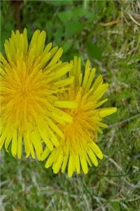 Journal Double Dandelions Overhead Angle