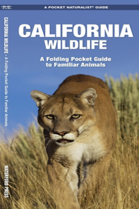 California Wildlife