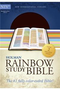 NIV Rainbow Study Bible, Brown Bonded Leather